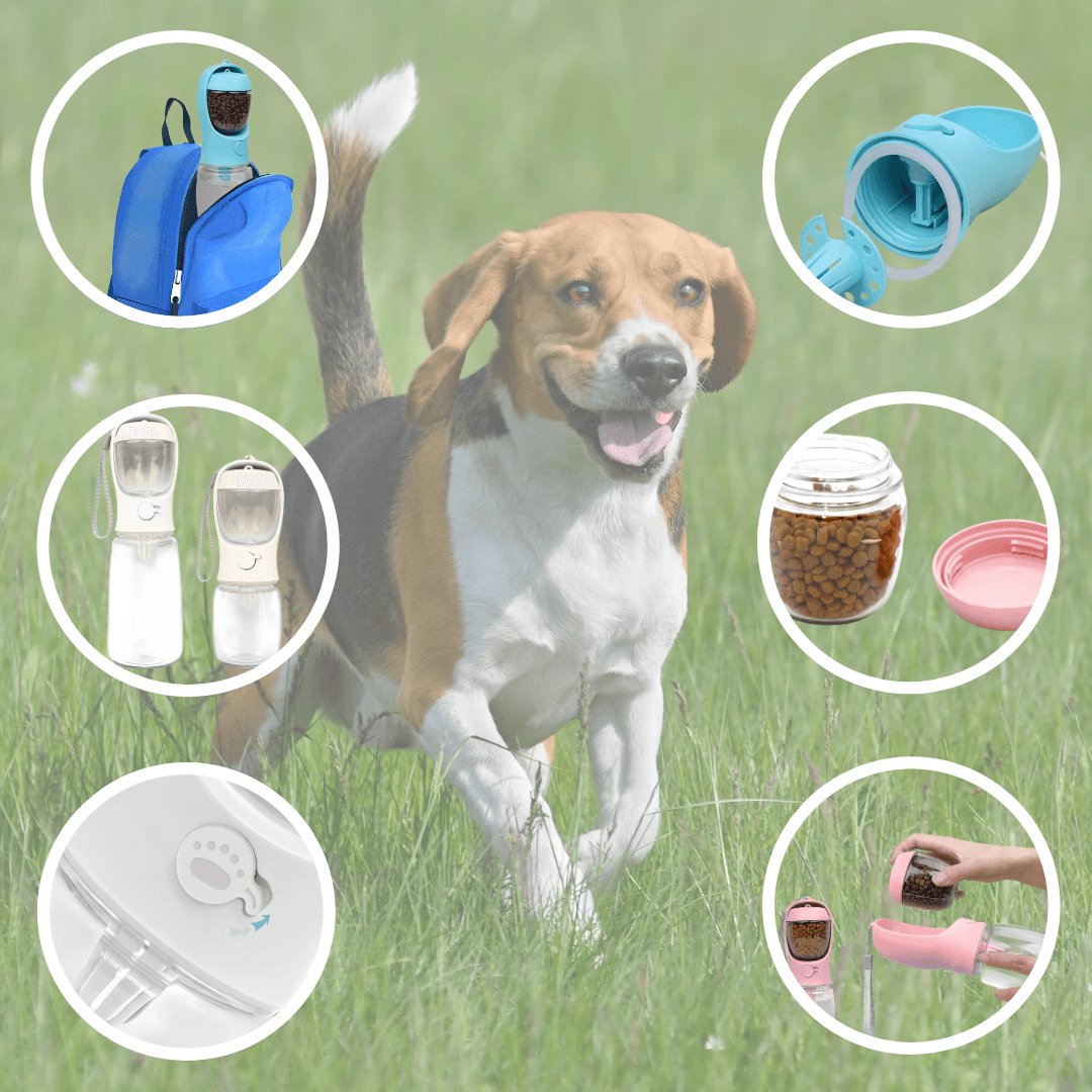 NexaPet Bottle – Botella portátil 2 en 1 para mascotas