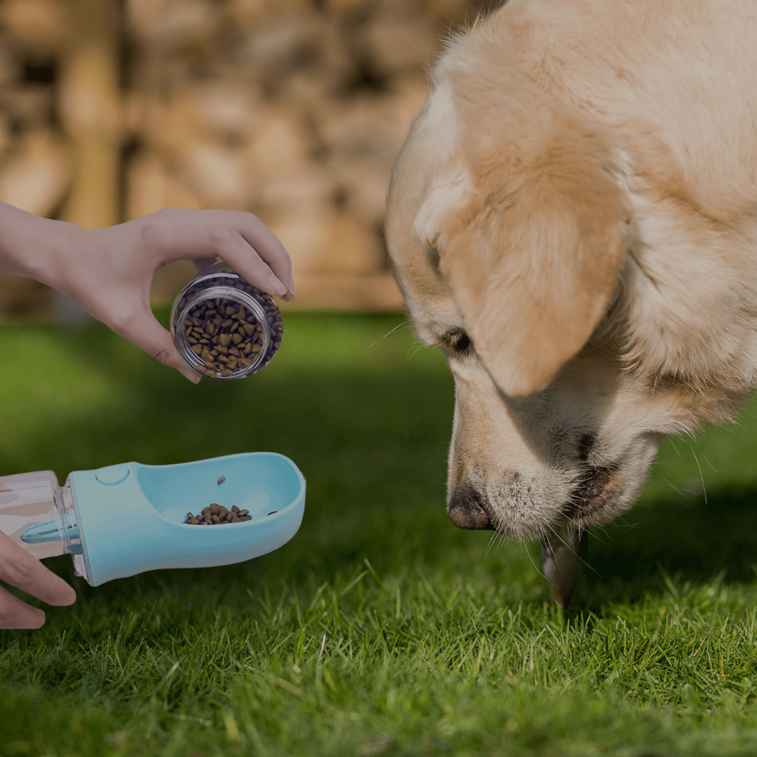 NexaPet Bottle – Botella portátil 2 en 1 para mascotas