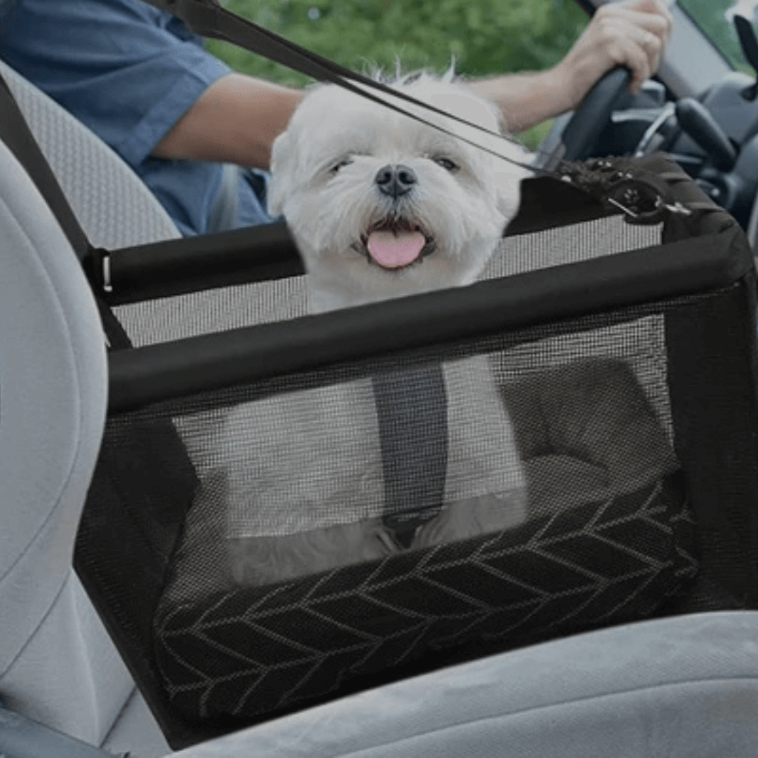 NexaPet Ride – Asiento de coche para mascotas con cinturón de seguridad
