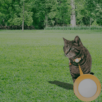 NexaTag Pet – Rastreador inteligente para mascotas con collar incluido