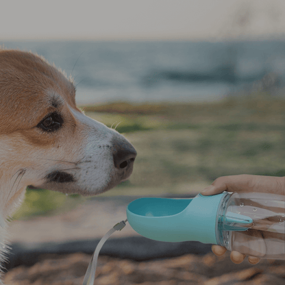 NexaPet Bottle – Botella portátil 2 en 1 para mascotas